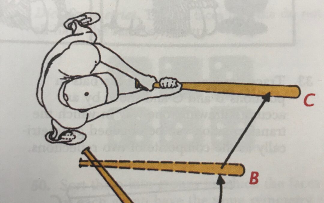 Geometry Ch8 Review #32