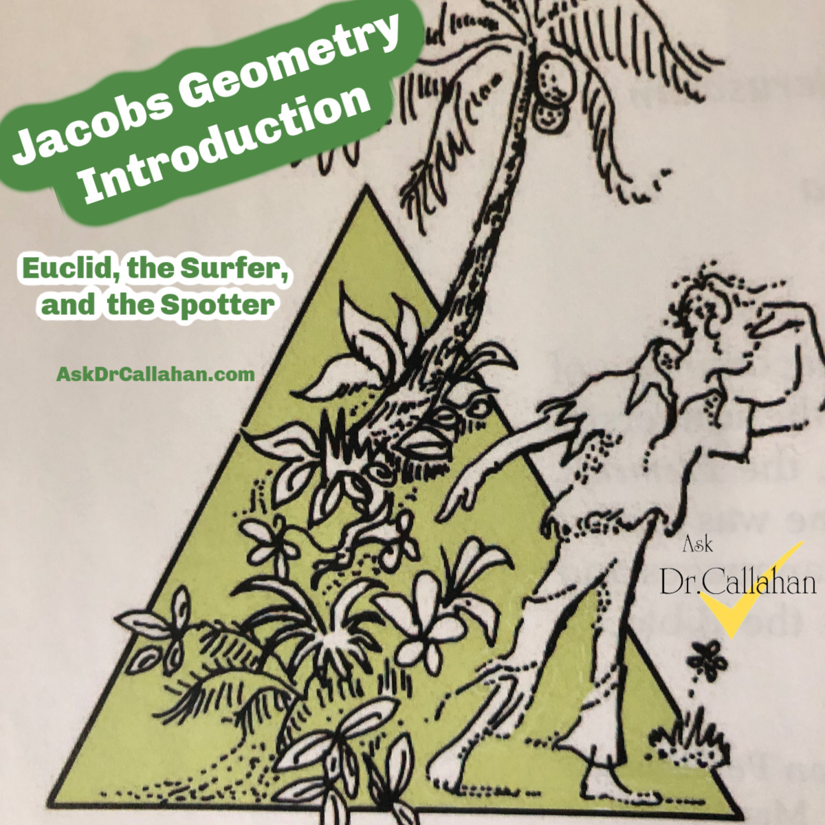 Geometry Introduction - AskDrCallahan